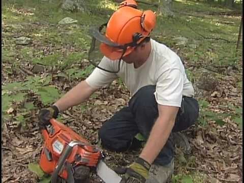 Tree Felling - Safety 1st