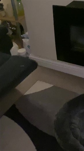 jodiestruttxo on TikTok