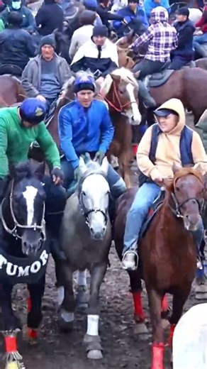 Ot yiqilganda toxtang#horse #kopkari #uloq