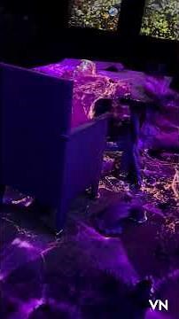 Casa Batlló ✨| Gaudí’s Masterpiece in Barcelona.