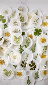 Real flowers on wax seals. Yay or nay!?Flowers and wax seals never get old… 🤍 If you’ve never made flower wax seals, this is your sign to give them a try!! 🌼Things you should keep in mind when making pressed flower seals… ✨ Use white or vellum sealing wax. They provide a nice neutral background so that your flowers can be the focal point. ✨ Choose small and thin flowers. You’ll want flowers that are small than your blank stamp (for me it’s smaller than an inch in diameter). Thin flowers are ea