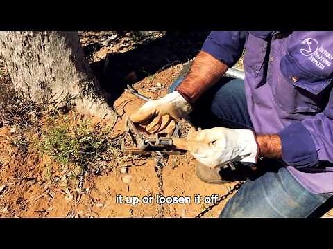 How to set a Wild Dog Trap - Flat Set