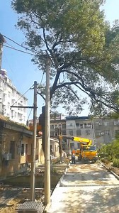 81K views · 204 reactions | Mud pit excavator operation | Seeking forod | Facebook