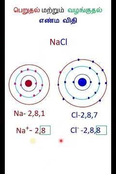 octet rule|எண்ம விதி|#chemistrypage|#11thchemistry|#chemicalbonding