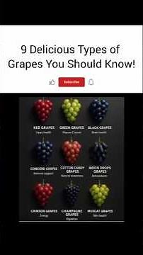 Types of Teeth & Their Functions