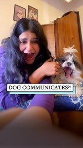 Tis little dog has quite the vocabulary! #dogs #funnydogs #humor | Reader's Digest