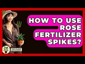 How To Use Rose Fertilizer Spikes? - The Plant Enthusiast
