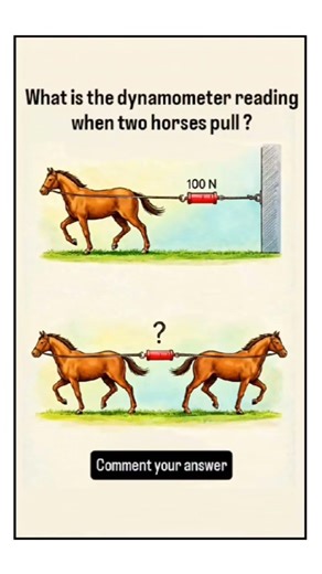 Can You Solve This Physics Puzzle? 🐎 Dynamometer Reading Explained! #shorts #trending