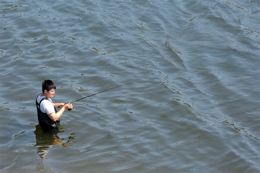 Pennsylvania fish reports reveal what species lurk in local waters
