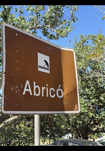 Descubra a Praia do Abricó – Naturismo no Rio