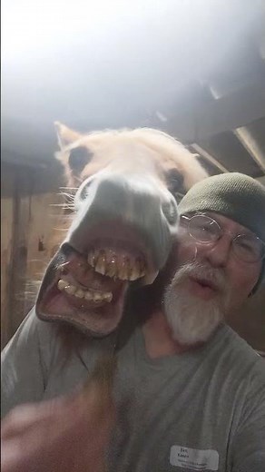 Zerbert Face Diesel (plus Cookies of course!)