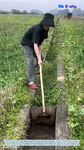 Irrigation Channel Maintenance: Clearing Silt and Vegetation from Waterways
