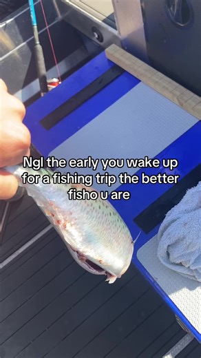 Early Morning Fishing Tips for Better Catch Rates