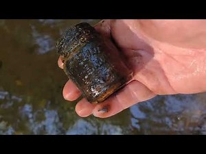 Creekwalking, picking, and privy digging for antique bottles.