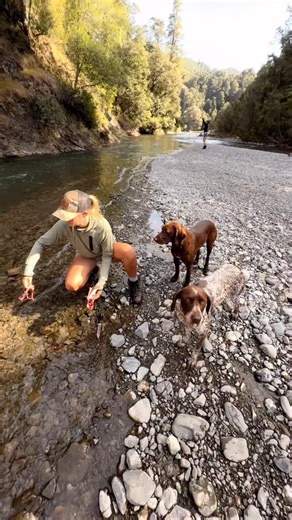 Awesome few days in Te Urewera with @annagirvan and @izinnz chasing trout and a first stag for Isabel Rose. We had a boat on the trot as well but it poked the dog and gave us the slip after a merry chase. Full episode out soon on Patreon and thekiwibushman website. Have a cracking weekend! | Josh James Kiwi Bushman