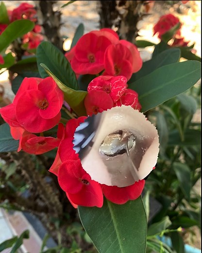 Enjoying Perfect clean and treatment with relaxing music #38 | Reels Clips