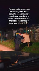 #PumpkinSpice #the #cat and #goats | William Mccrory