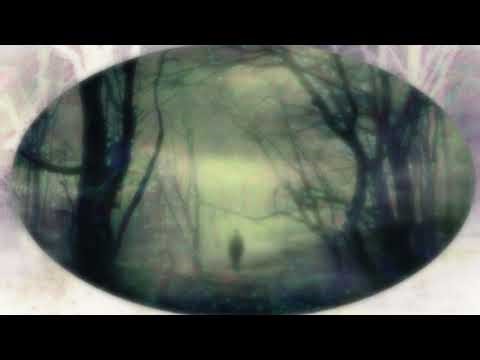 de-inhabitor (3.Negative EntityBad SpiritDemonic Removal (Banishing Frequency)SAPIEN MED