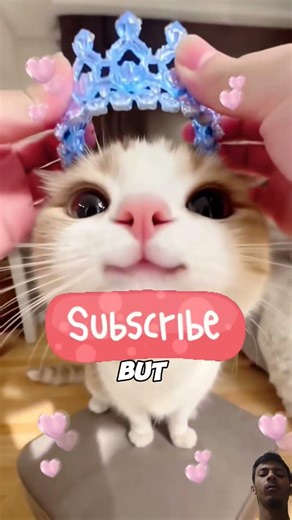 If you see this strange dog then never open then door!😱 #shorts #haunted #scary #viralvideos