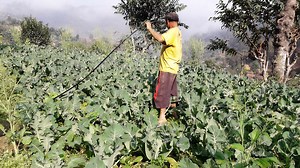Agricultural and Community Development Project in Tanahun District