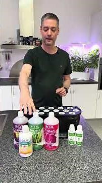 Peberfrugter i EcoSprout | Del 2 | Kimblade + vandskift + mild næring
