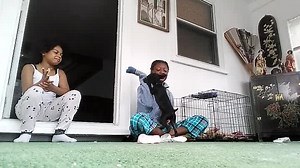 Livestream title