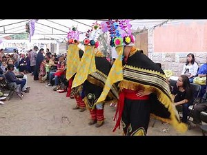 Dance of the Moors during the Cargueros festival in Patamban, Cotidiano399