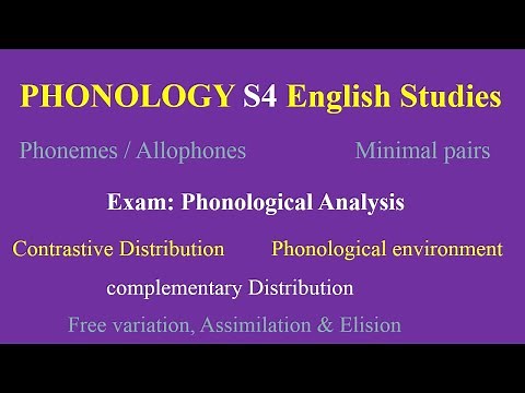 Phonology S4 English Studies Exam | introduction to linguistics| University| Online Bachelor Degree