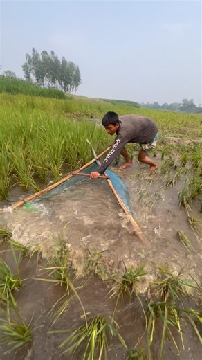 Crazy Village Fishing | Net Full of Fish Every Time!