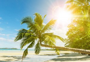 How to Create a Sunburst Effect Action in Adobe Photoshop | Envato Tuts