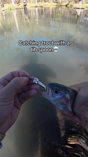 Catching trout on a dih spoon! #fishing #trout #troutfishing #fishingvideos #fishtok
