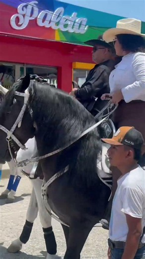 Puro porte vaquero