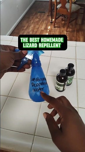 The best homemade lizard repellent ever. Ingredients in comments #homemade