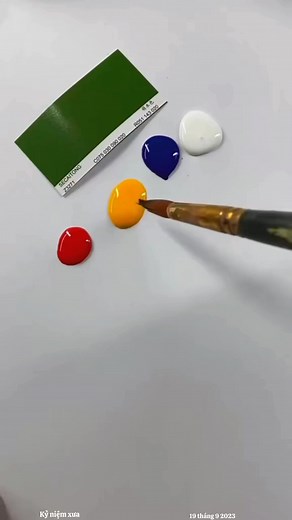 Xanh lá | Color Master