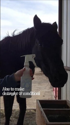 How to Make Detangler Spray for Your Horse