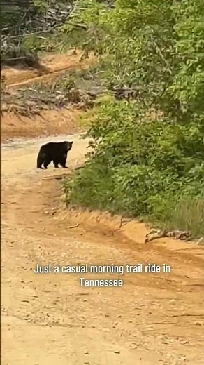 Brimstone Atv park Tennessee #fyp #offroad #mud #trailriding #bear #short #viral #woods #brimstone