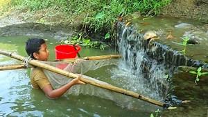 12M views · 10K reactions | Very Easy and Interesting Fishing Video. #fish #fishing | Fishing Boss | Facebook