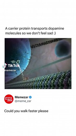 🔬🧫 Carrier proteins are specialized membrane proteins that help move molecules across the cell membrane. Unlike simple diffusion, they bind to specific substances such as sugars, amino acids, or ions, and then change shape to transport them through the lipid bilayer. These proteins are crucial for regulating what enters and leaves the cell. Some use no energy (facilitated diffusion), while others require energy in the form of ATP (active transport) to move substances against their concentratio