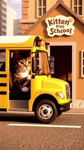 Adorable Mother Cat Plays Bus Driver for Her Kitten Cute Cat Story‪@HappyCatClub68‬