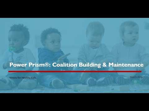 Power Prism®: Coalition Building & Maintenance