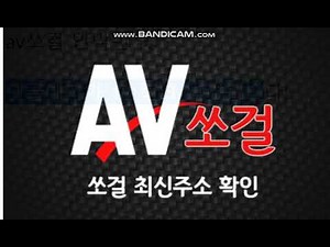 AV쏘걸 주소