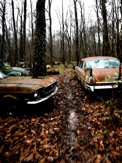 Old Car Restoration Project Tips