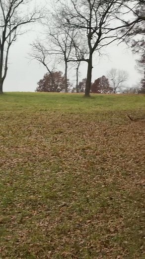 Good day to get out😀😁 | Lyle Brown