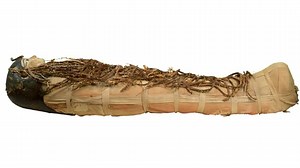 19K views · 136 reactions | Police have confirmed they have found a mummified body inside a Gold Coast home. DETAILS: https://nine.social/clv #9News | WATCH LIVE 5.30pm | 9 News Gold Coast | Facebook