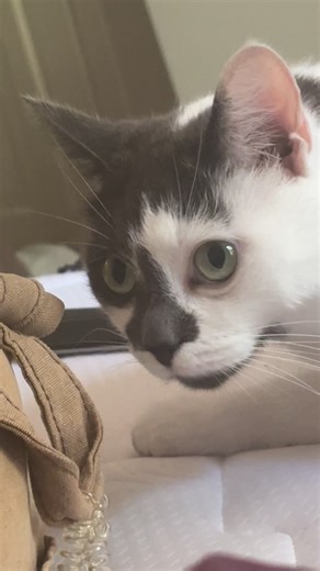 Amberley (@amberleywatson)’s videos with original sound - Amberley