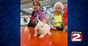 58,372 Attendees on Day 2 of 2025 New York State Fair; A Rise from Last Year's Numbers