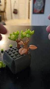 Blocktech block succulents build- irish rose