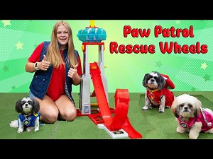 Assistant Finds the Paw Patrol Rescue Wheels with Dogs Wiggles and Waggles - Videos For Kids