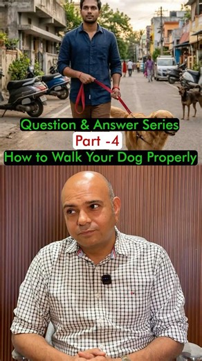 How To Walk Your Dog🦮 Properly❓ Q & A Series Part - 4️⃣