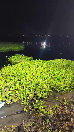 ขอให้เจอไวๆครับ ผู้สูญหายในน้ำ ชาย 1 ราย อ่างเก็บน้ำมาบประชัน ตำบลโป่ง จังหวัดชลบุรี ขอบคุณอาสากู้ภัยมูลนิธิสว่างบริบูรณ์พัทยา ทุกท่านทุกนายครับ ซูมระยอง 058 เล็กตะพงฮิ รายงาน 14/1/2569 | ZOOM Rayong ซูมระยอง